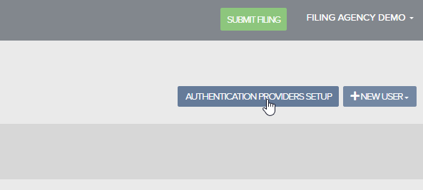 Authentication Providers Setup button in User Settings